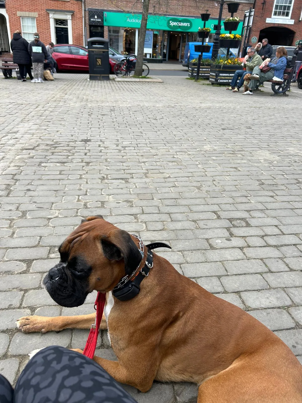 Gus