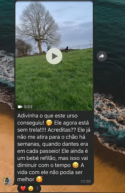 Mensagem de cliente no WhatsApp