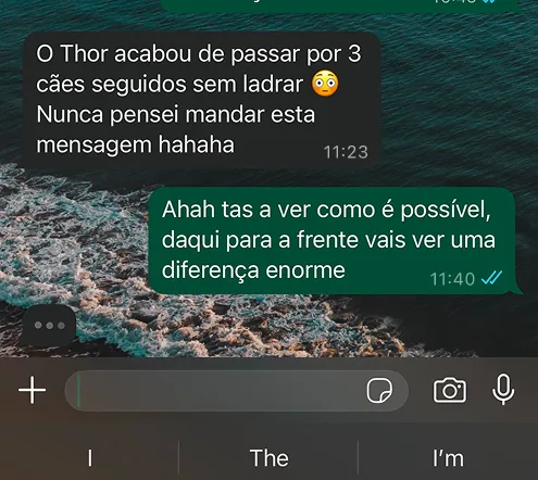Mensagem de cliente no WhatsApp