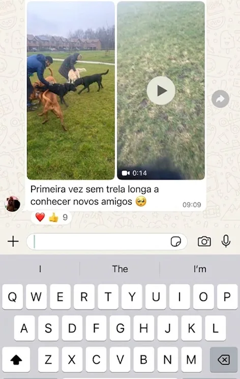 Mensagem de cliente no WhatsApp