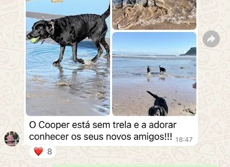Mensagem de cliente no WhatsApp