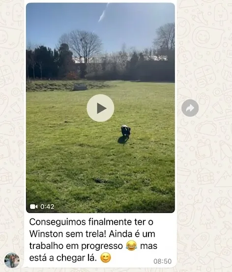 Mensagem de cliente no WhatsApp