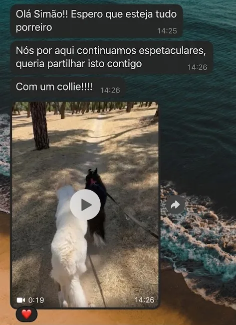 Mensagem de cliente no WhatsApp