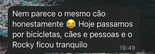Mensagem de cliente no WhatsApp