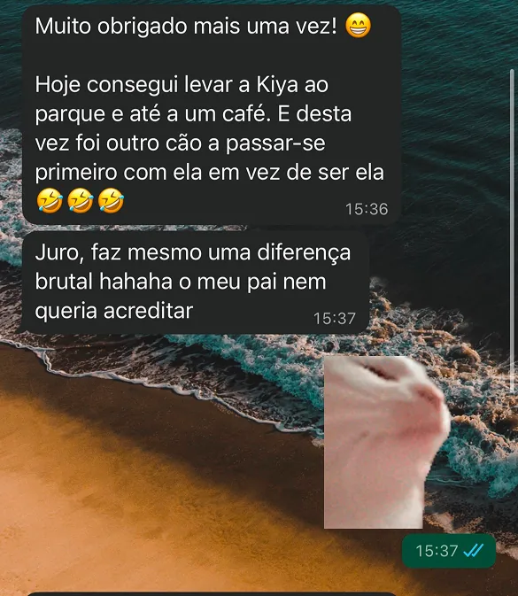 Mensagem de cliente no WhatsApp