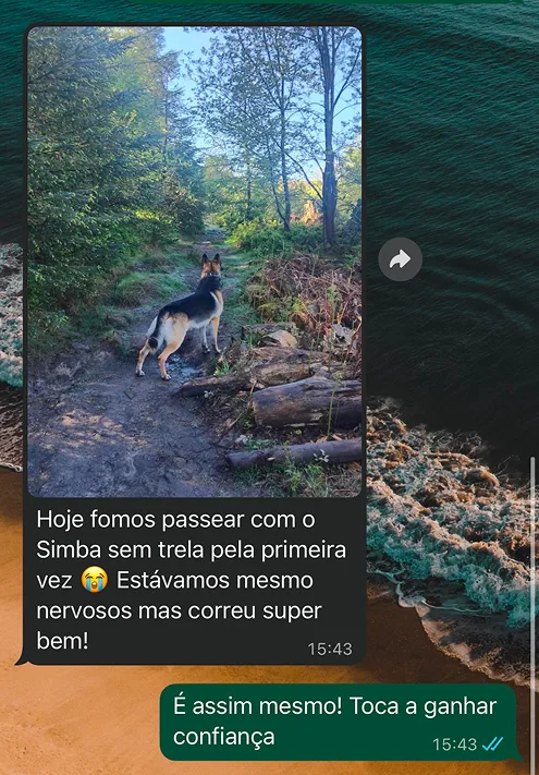 Mensagem de cliente no WhatsApp