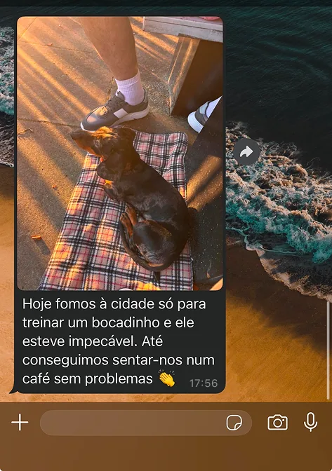 Mensagem de cliente no WhatsApp