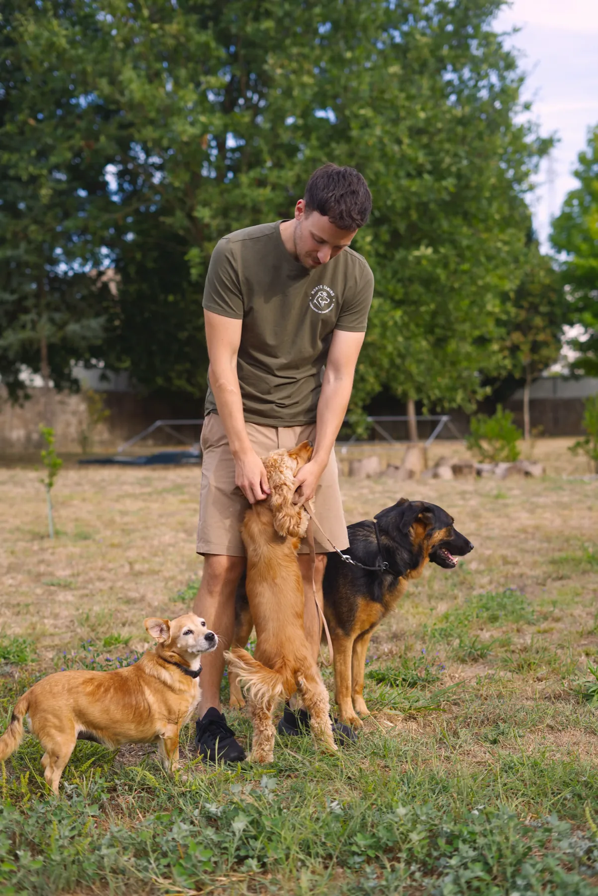 Simão a trabalhar com três cães ao mesmo tempo